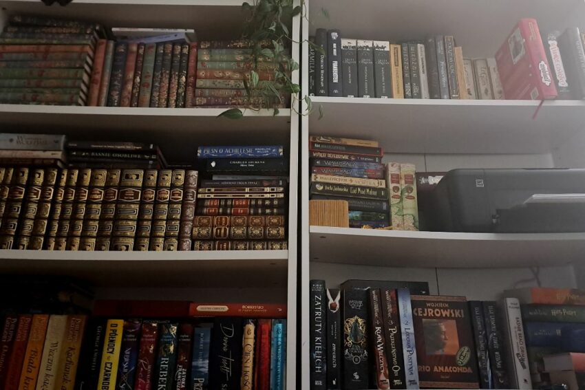 Rozpoczynam TBR zero challenge czyli zamierzam przeczytać wszystkie książki, które mam w dwa lata.